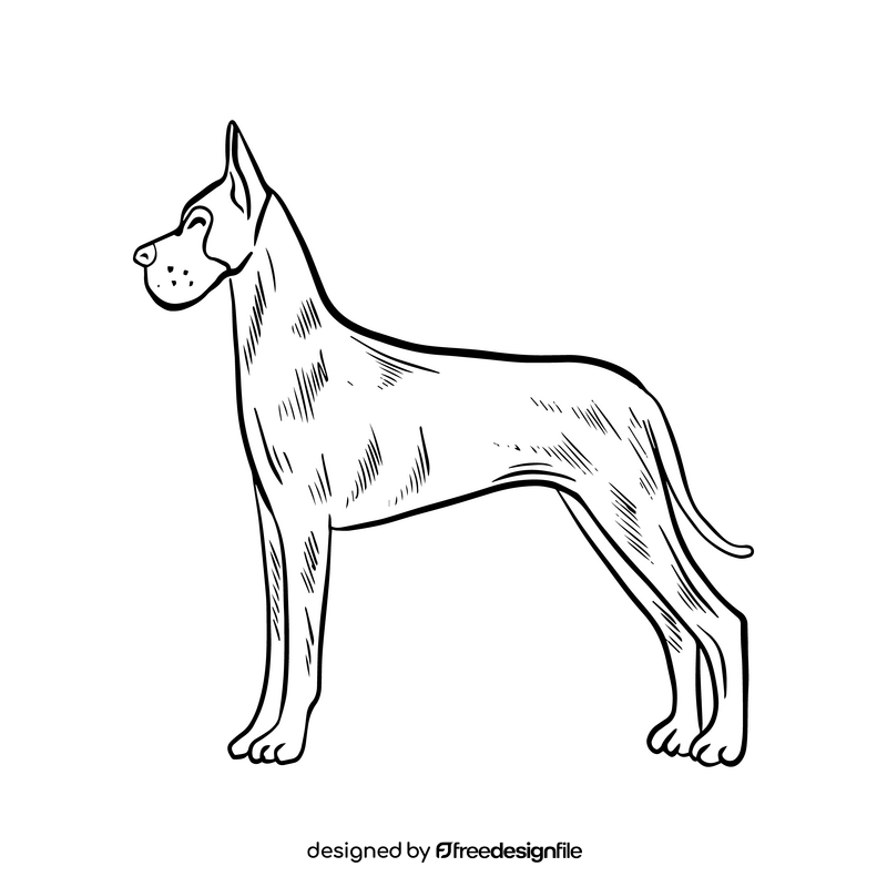 Great Dane dog black and white clipart