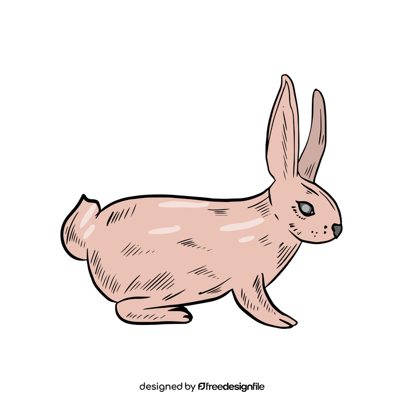 Rabbit clipart