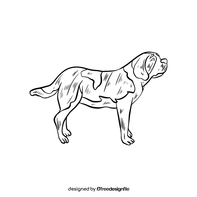 St bernard dog black and white clipart