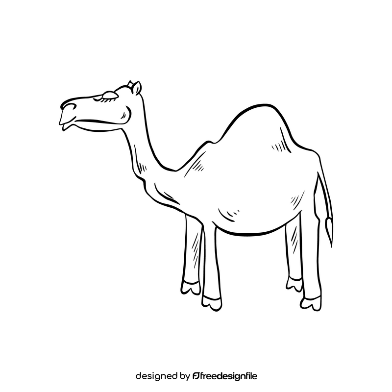 Cute camel drawing black and white clipart