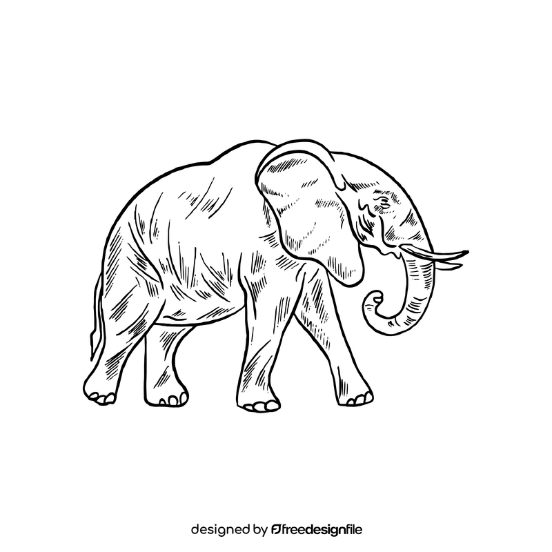Cartoon elephant black and white clipart