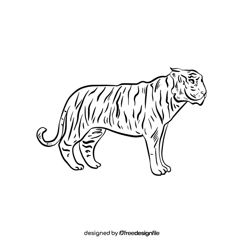 Tiger cartoon black and white clipart