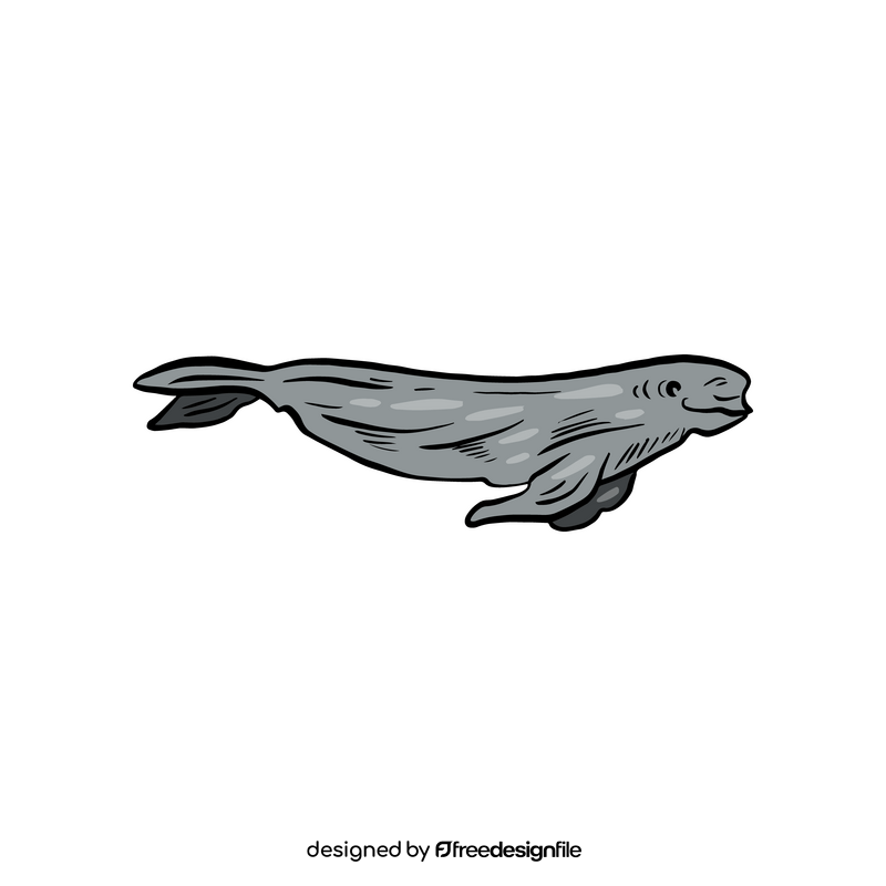 Seal clipart