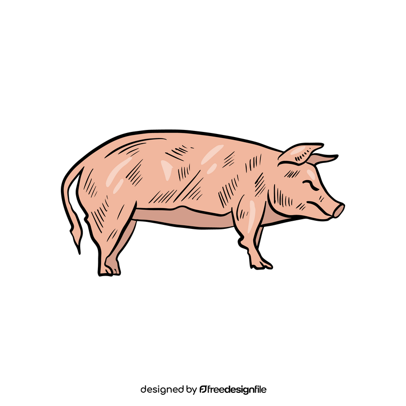 Pig clipart