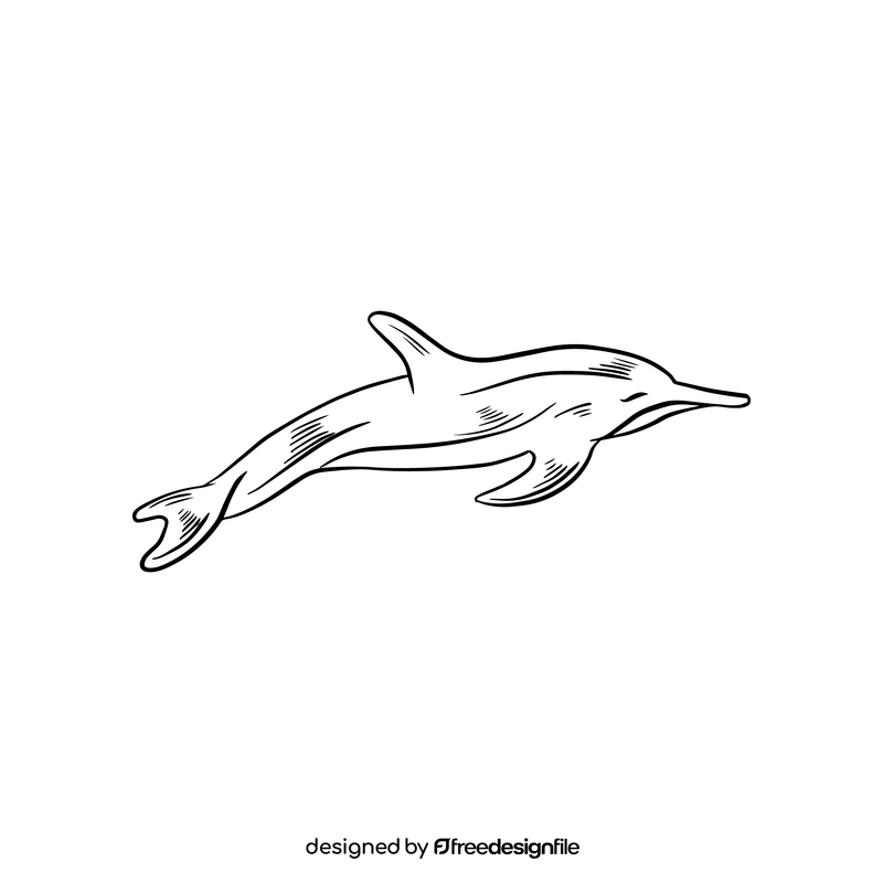 Free dolphin black and white clipart