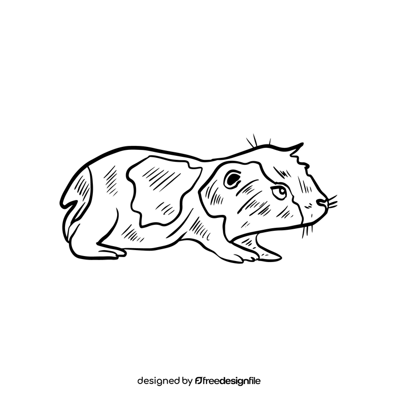 Cute hamster black and white clipart