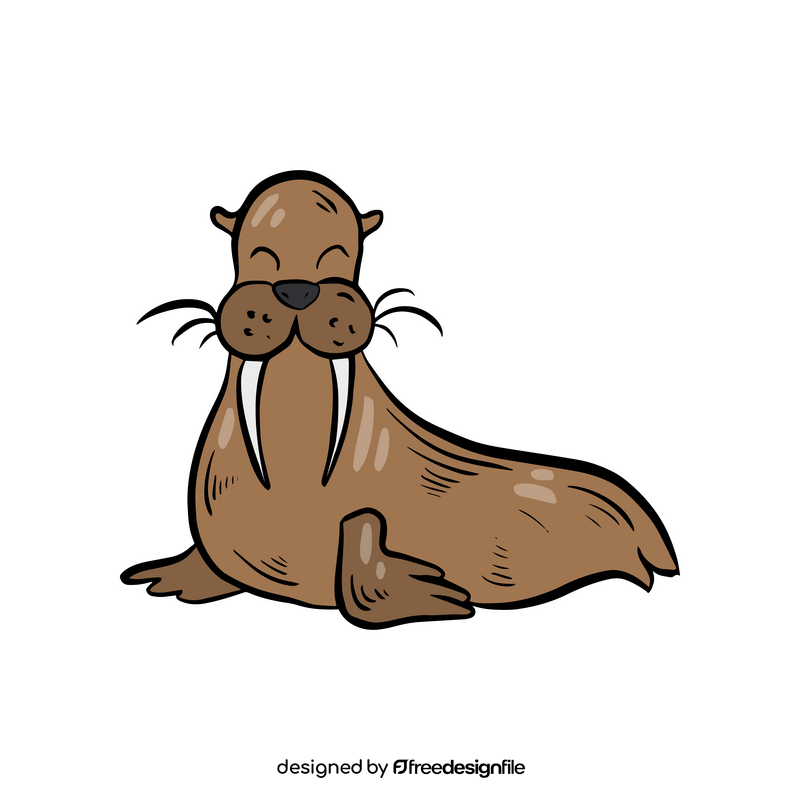Walrus animal illustration clipart