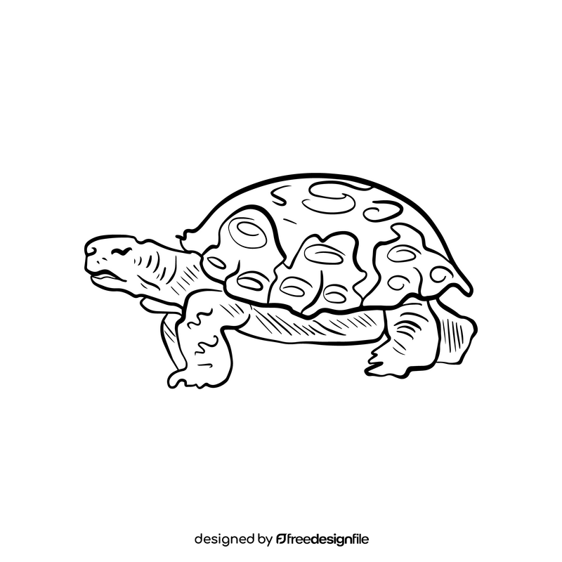 Turtle illustration black and white clipart