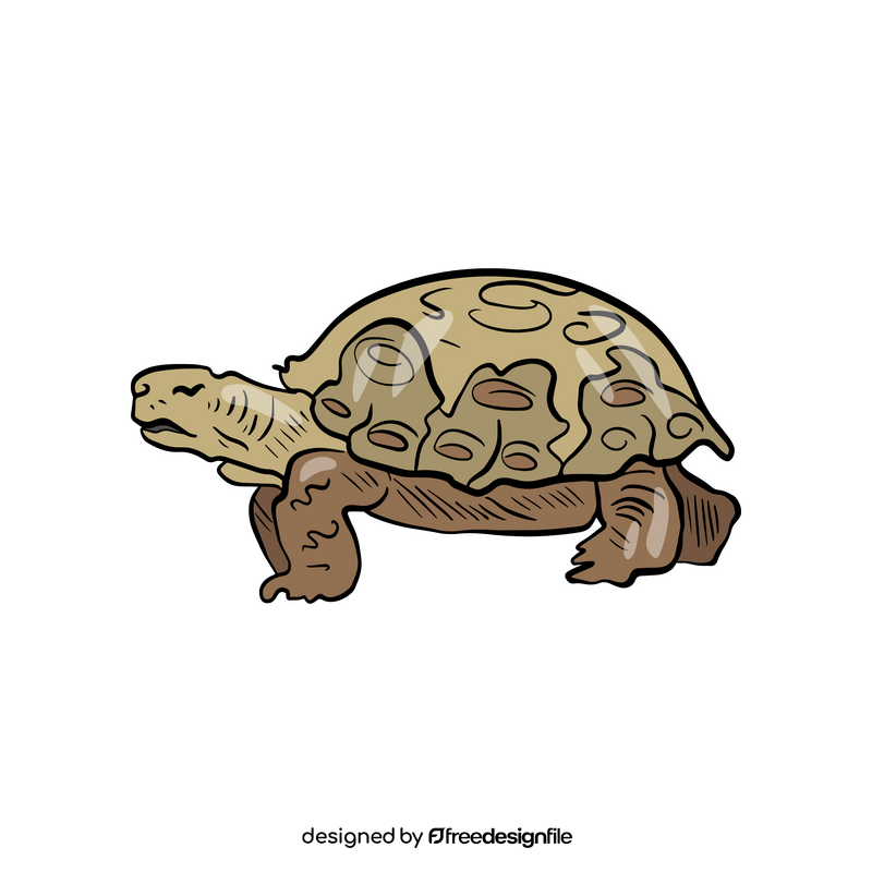 Turtle illustration clipart