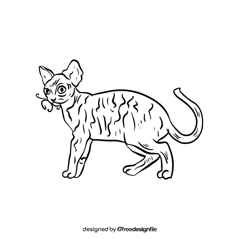 Cartoon cat black and white clipart