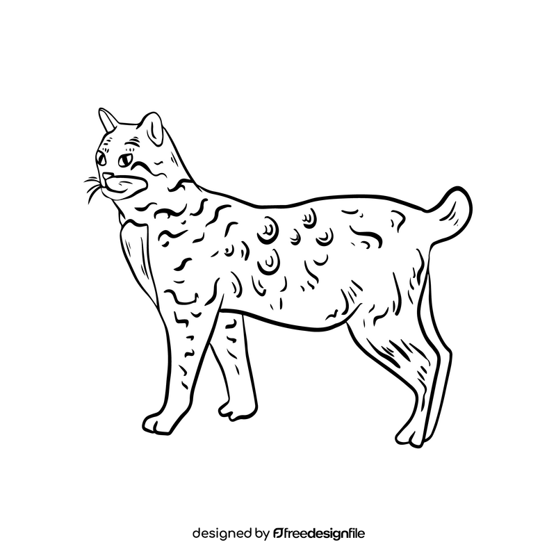 Free cat, pet black and white clipart