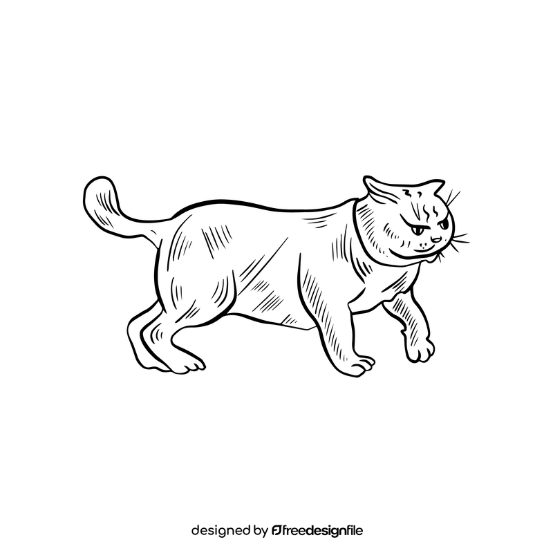 Free cat black and white clipart