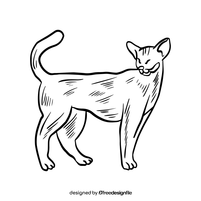 Cat illustration black and white clipart