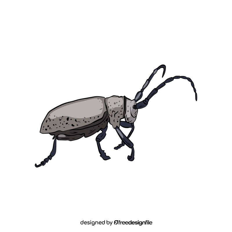 Beetle drawing clipart