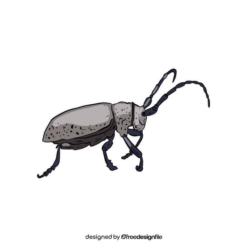 Beetle drawing clipart