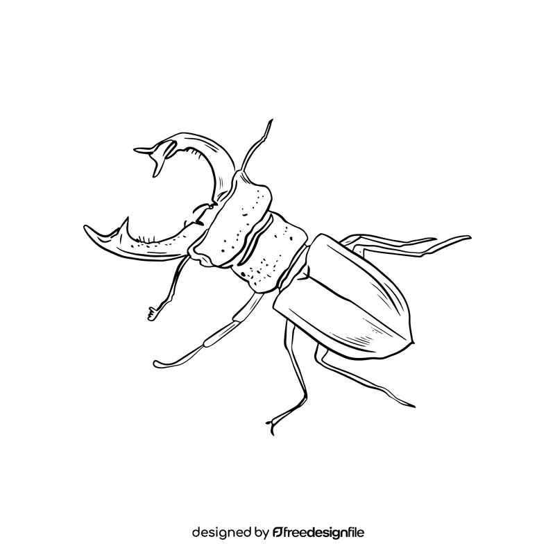 Beetle black and white clipart