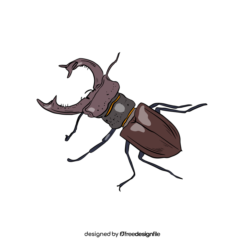 Beetle clipart