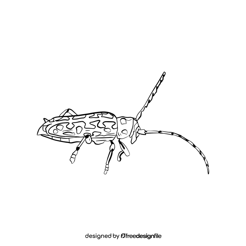 Beetle black and white clipart