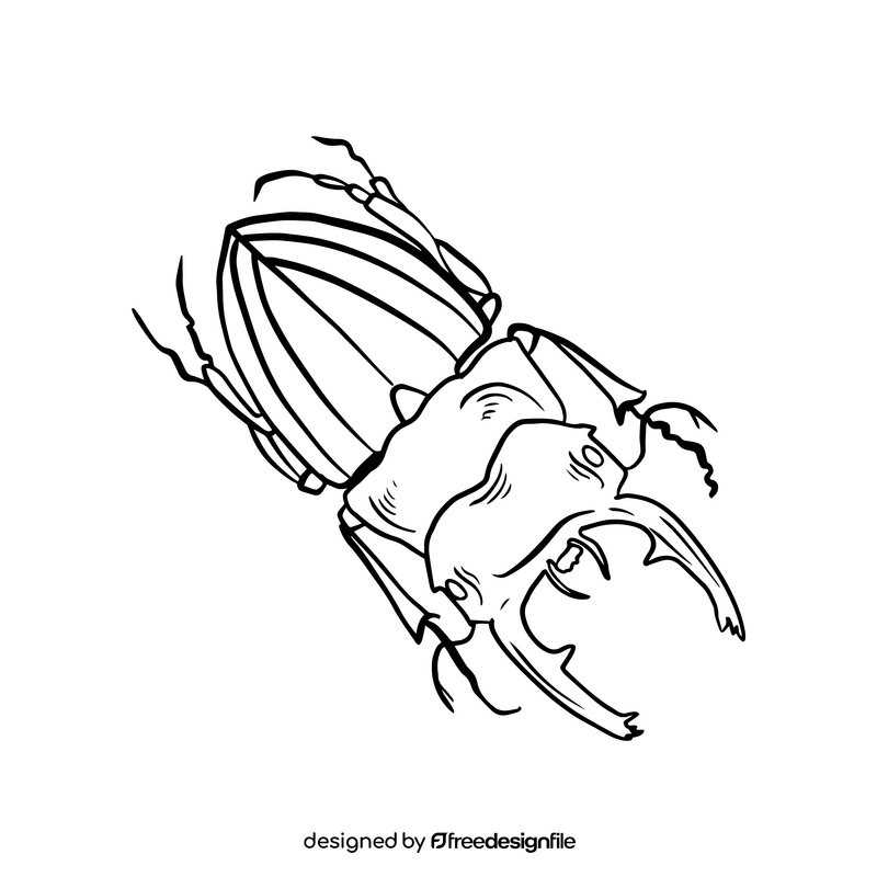 Free beetle black and white clipart