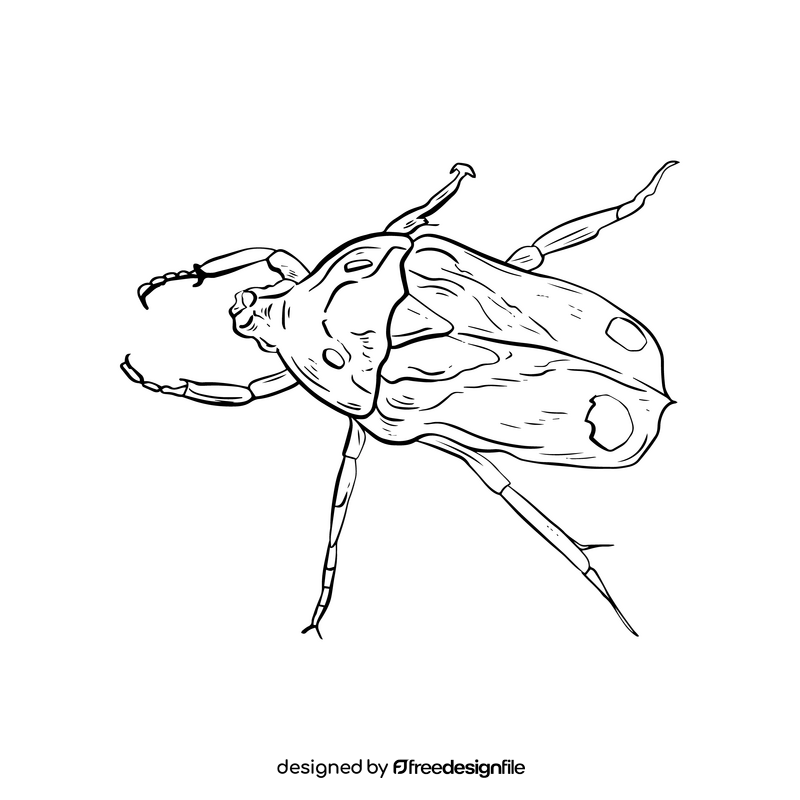 Beetle black and white clipart