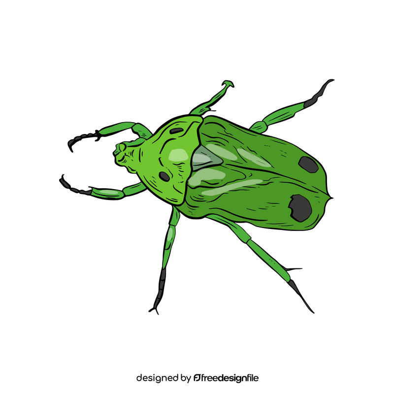 Green beetle clipart