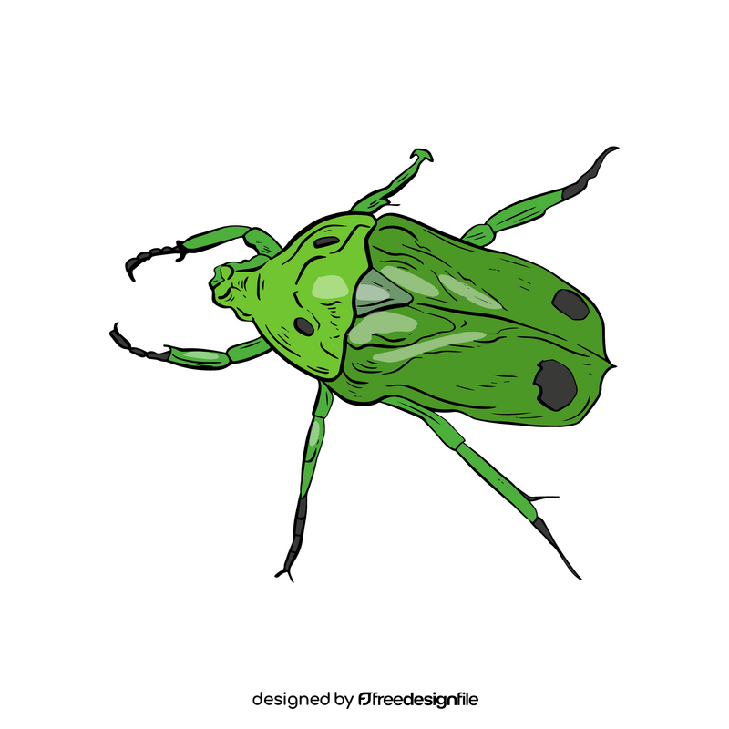 Green beetle clipart