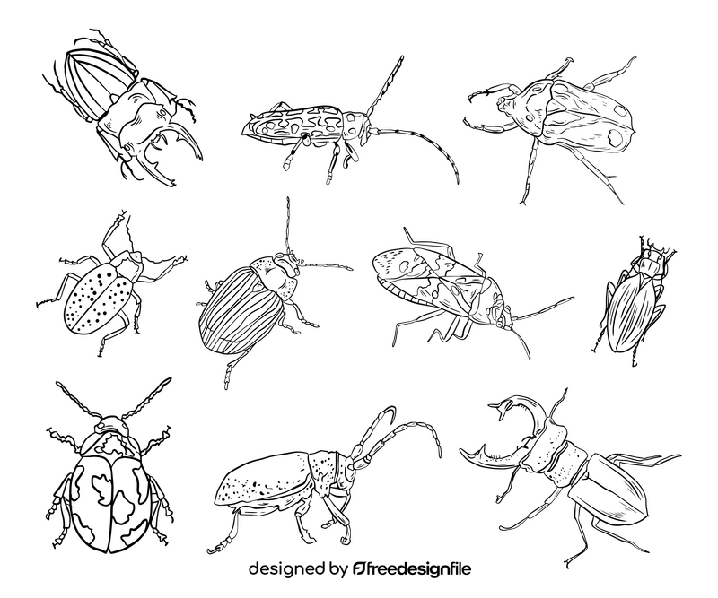 Beetles cartoon black and white vector