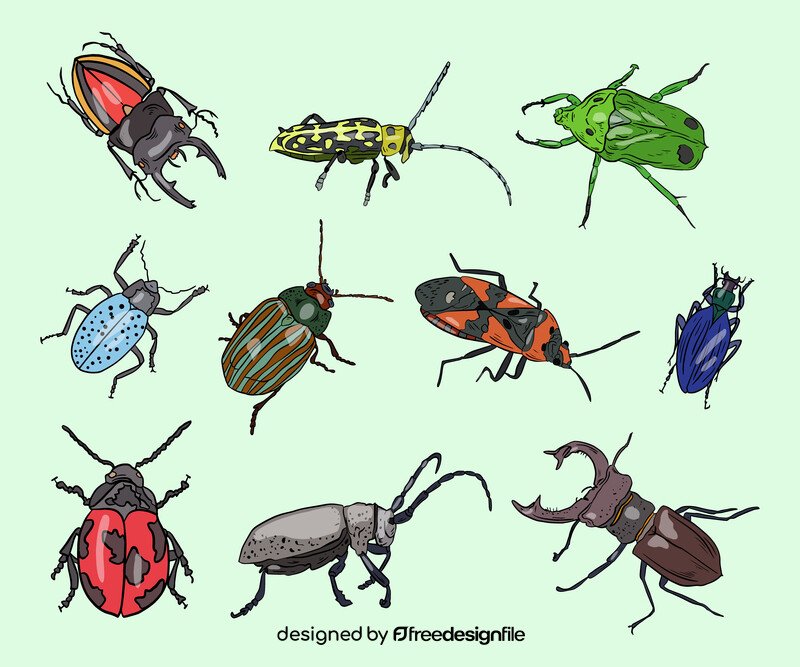 Beetles cartoon vector