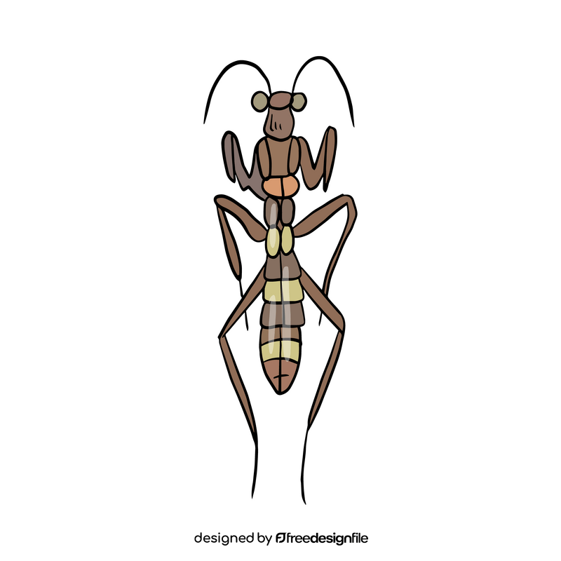 Cartoon mantis clipart