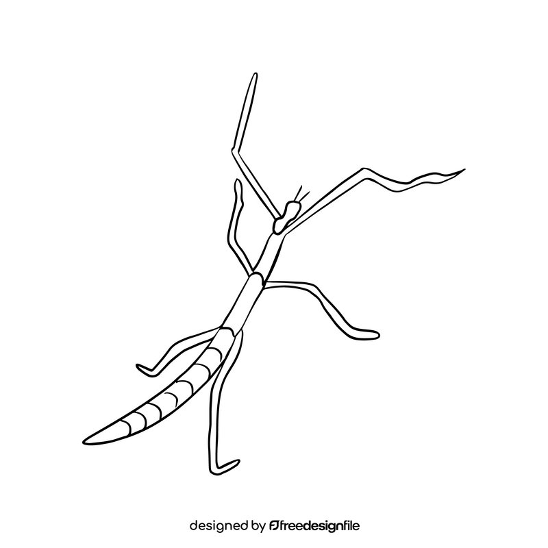 Mantis illustration black and white clipart