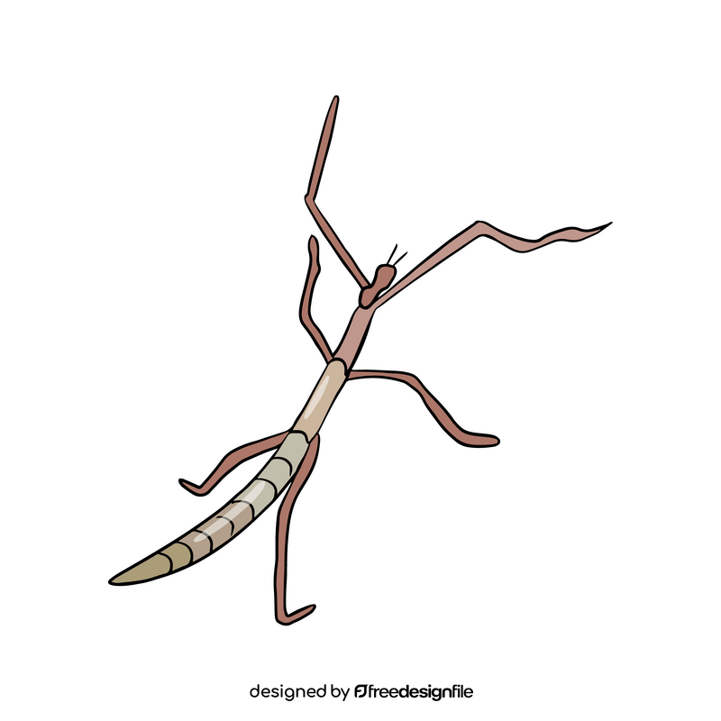 Mantis illustration clipart