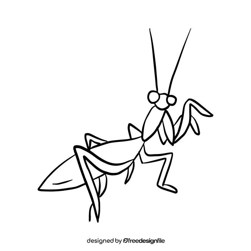 Free mantis drawing black and white clipart