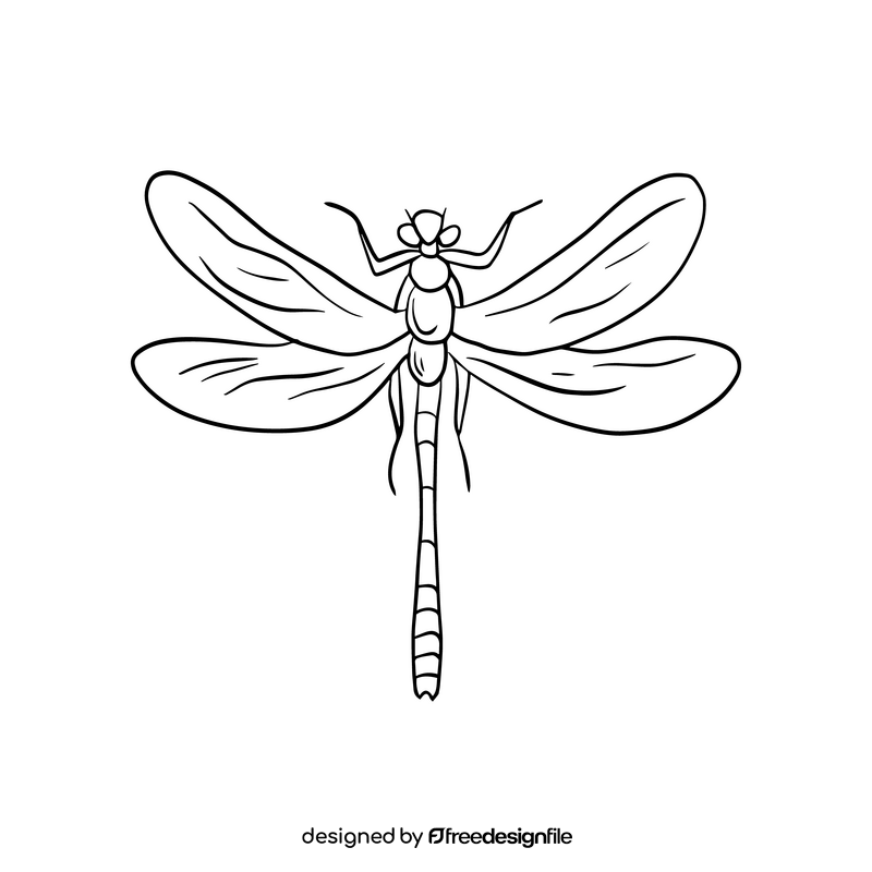 Dragonfly drawing black and white clipart