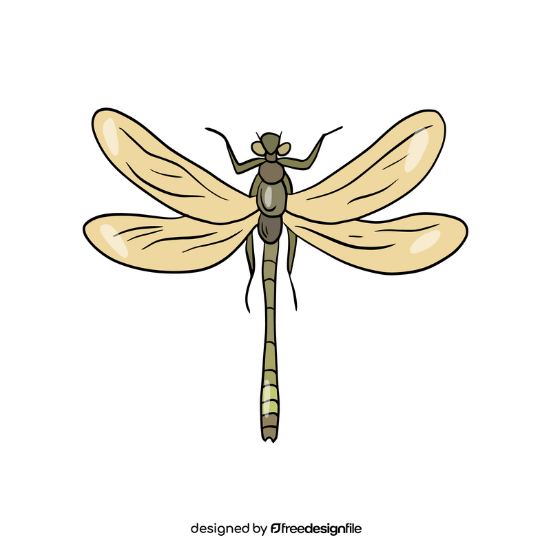 Dragonfly drawing clipart