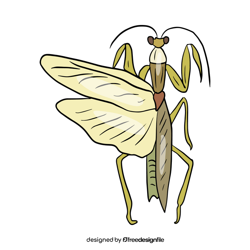 Green mantis clipart
