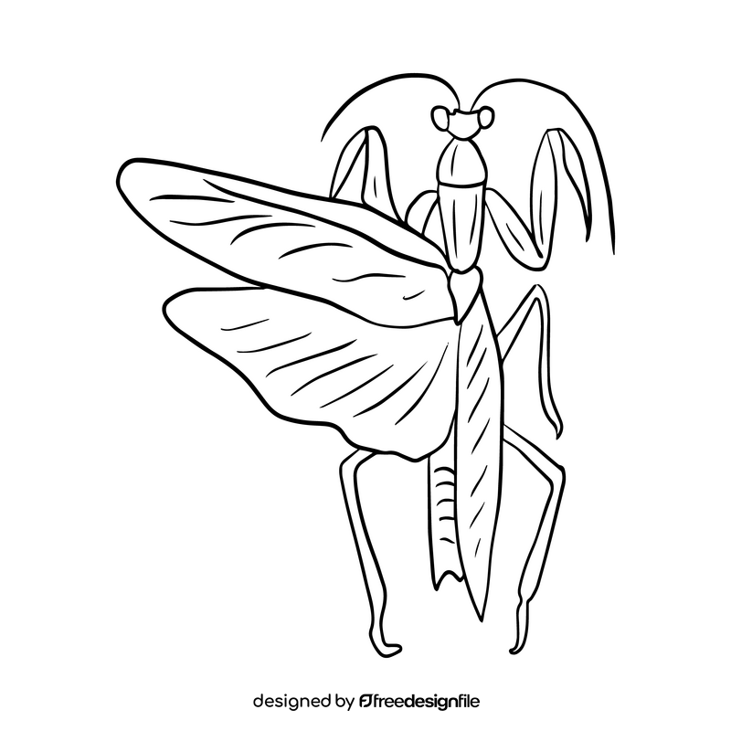 Mantis black and white clipart