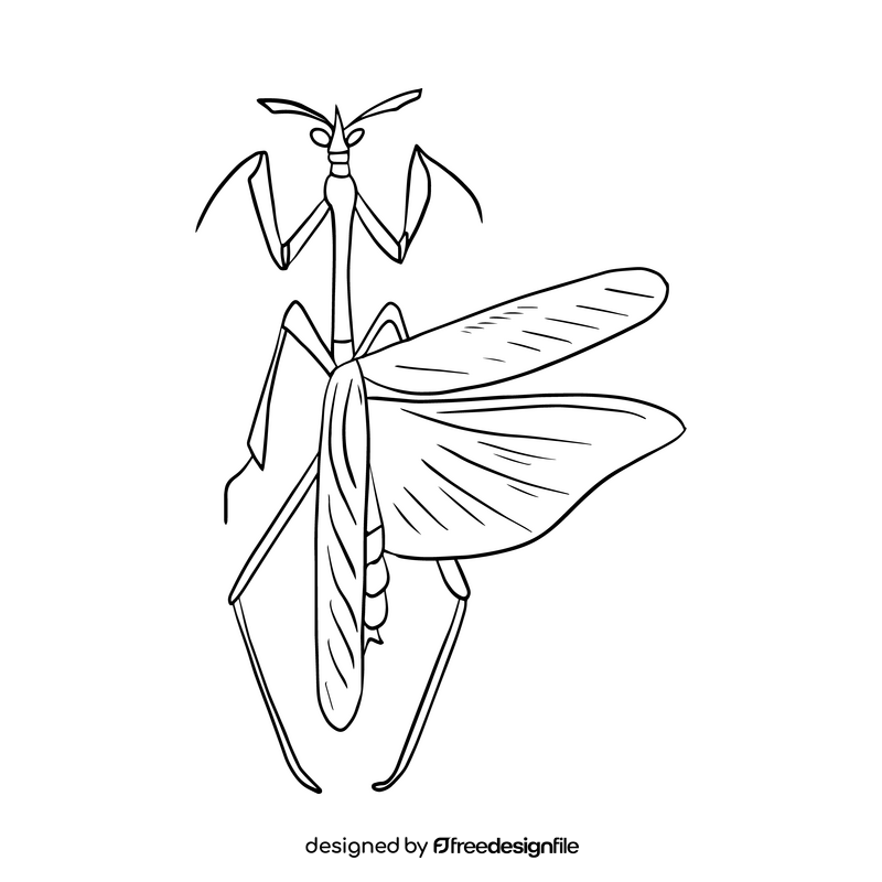 Mantis black and white clipart