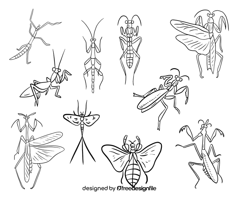 Mantis black and white vector
