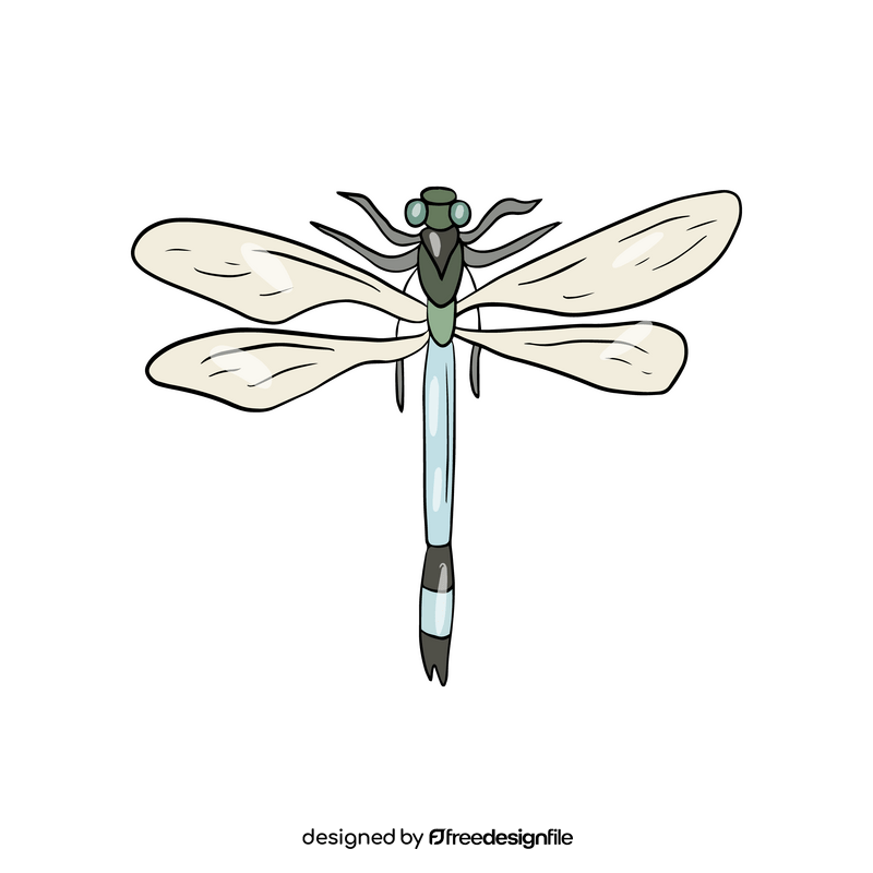 Dragonfly illustration clipart