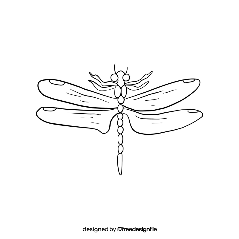 Free dragonfly black and white clipart