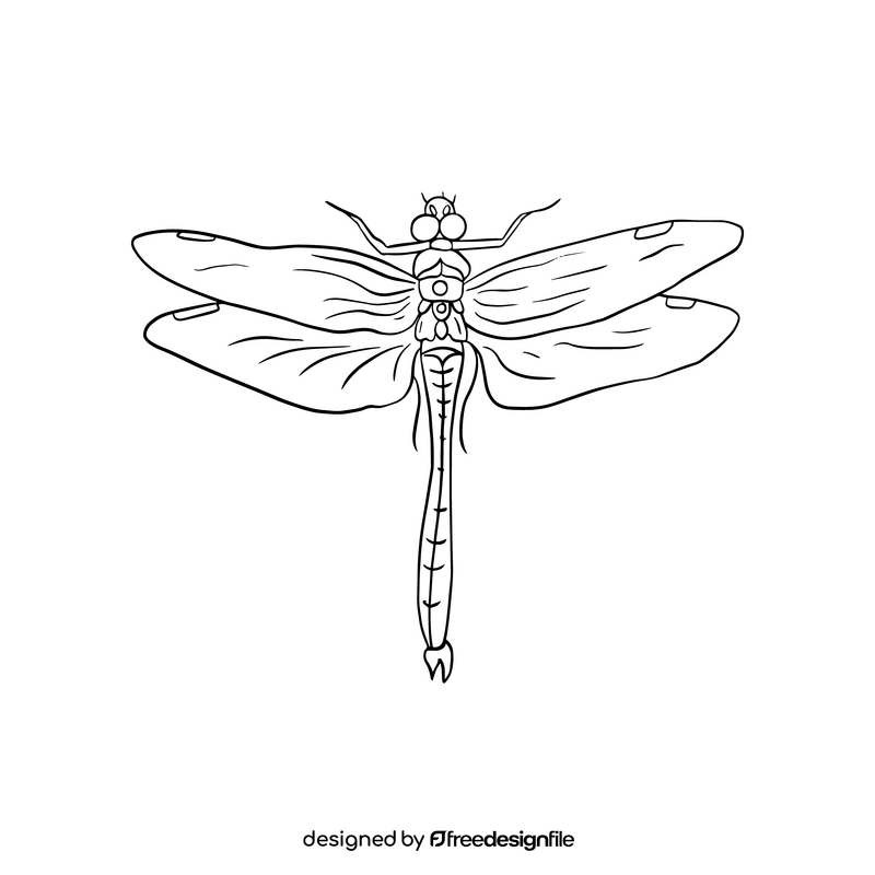 Cartoon dragonfly illustration black and white clipart