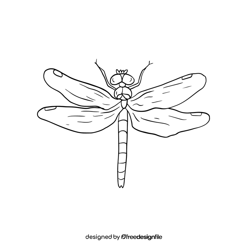 Dragonfly black and white clipart