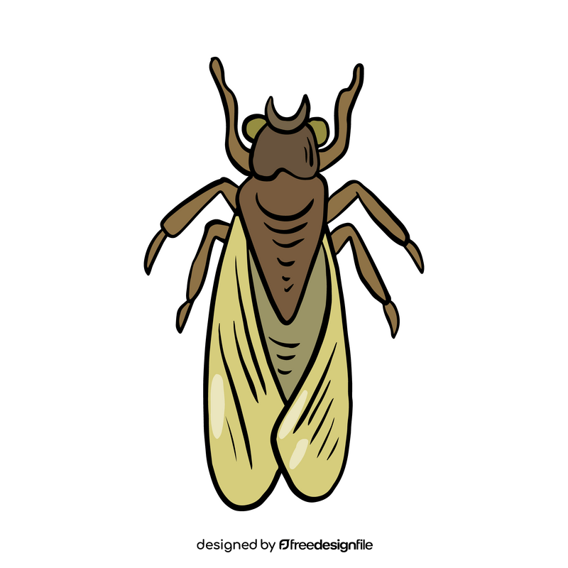 Free moth illustration clipart