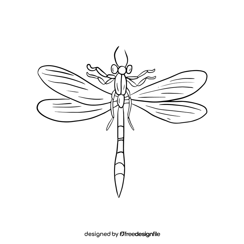 Free dragonfly cartoon black and white clipart