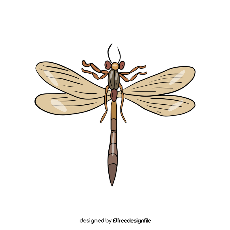 Free dragonfly cartoon clipart