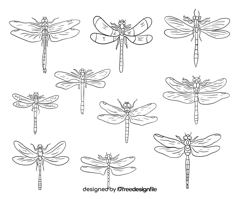 Dragonflies cartoon black and white vector