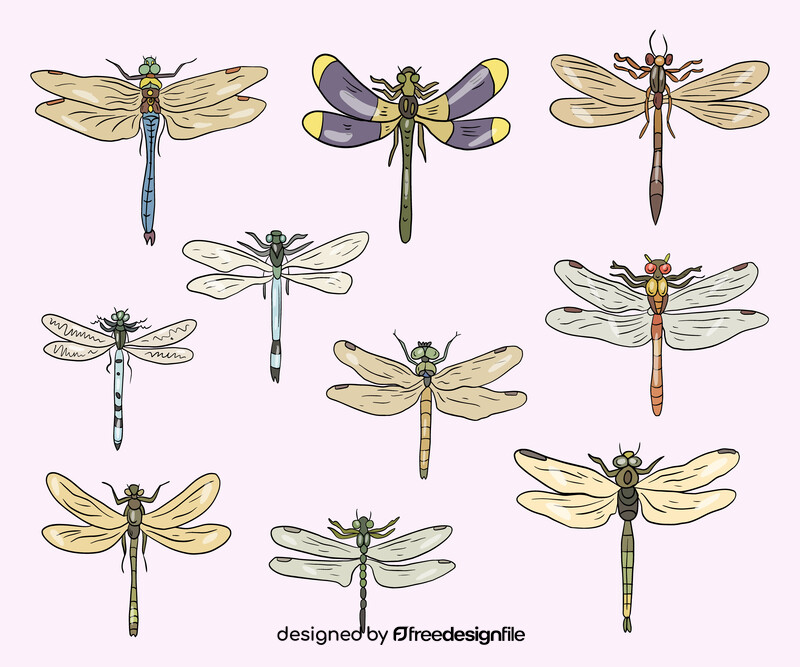 Dragonflies cartoon vector