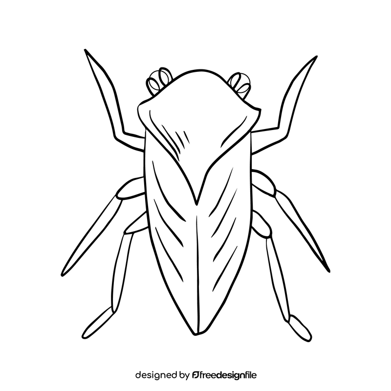 Moth drawing black and white clipart