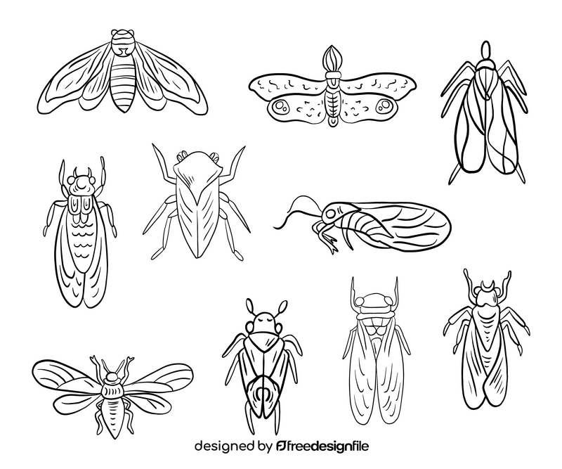 Moths black and white vector