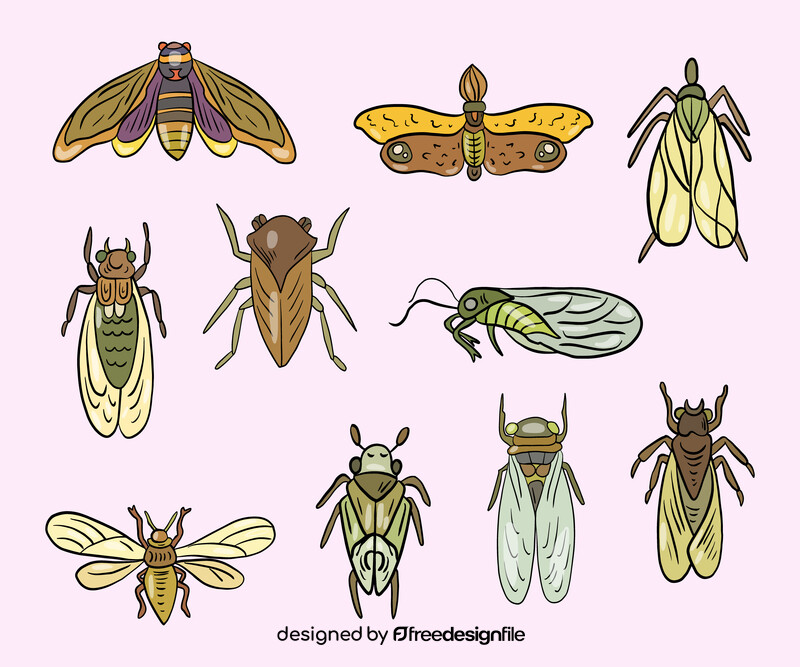 Moths vector